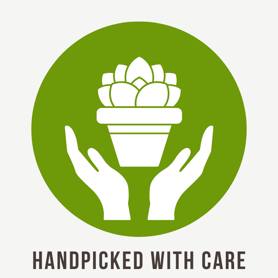 Icon button, hands holding a pot plant, reading Handpicked with Care.